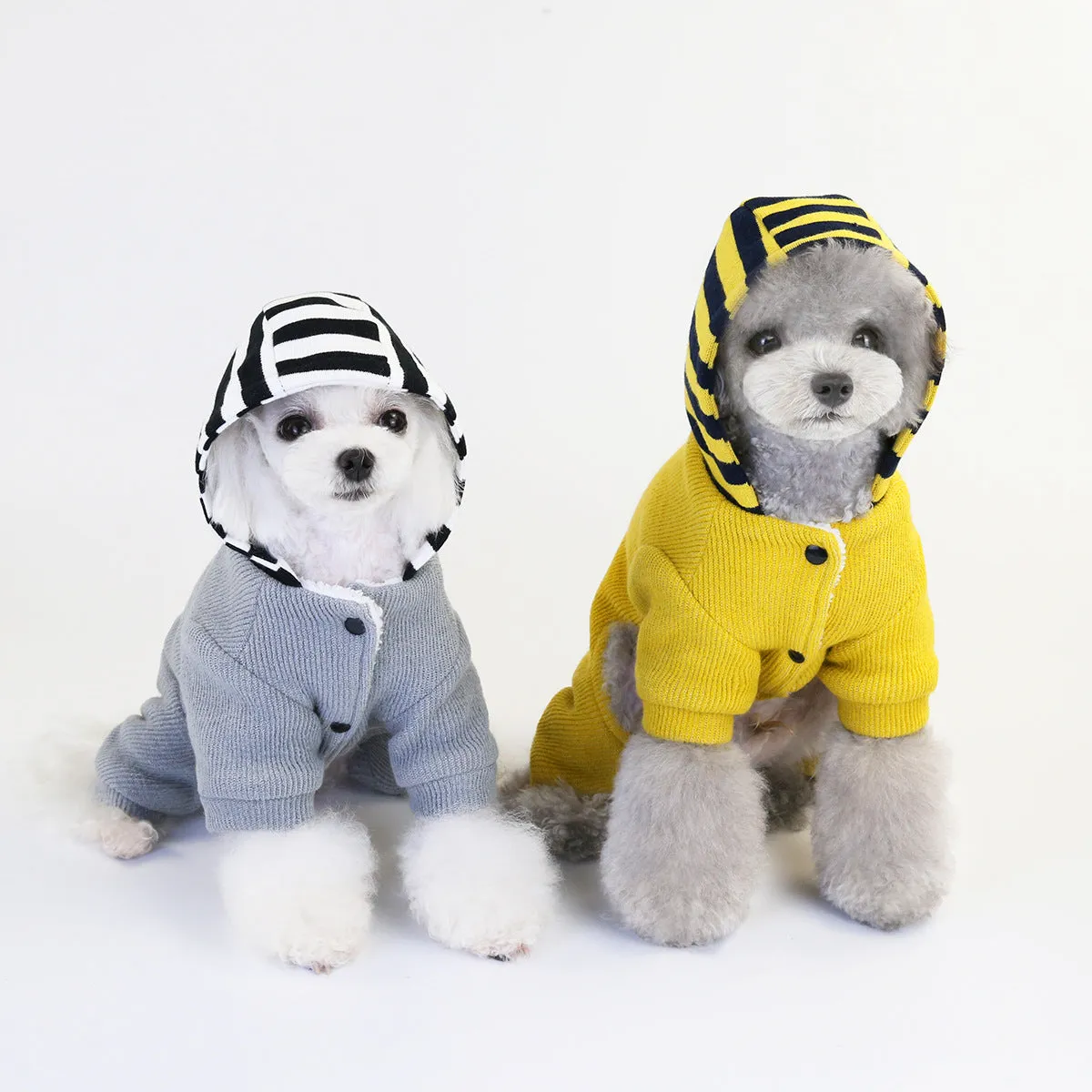 Pet clothing with hood and cashmere to keep warm in autumn and winter