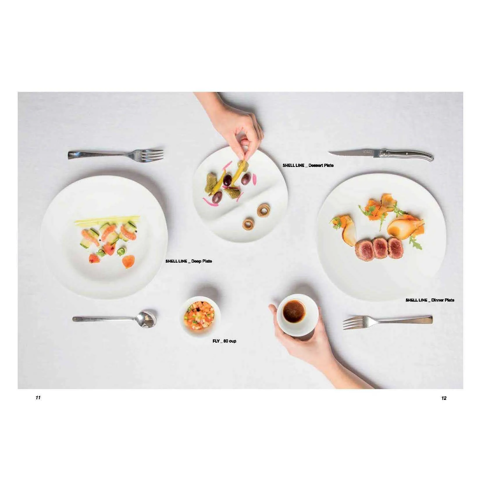 Shell Dinner Plate