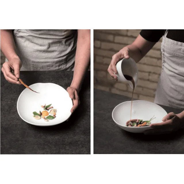 Shell Dinner Plate